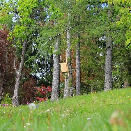 Casa vacanze Lake View Holiday Cerknica